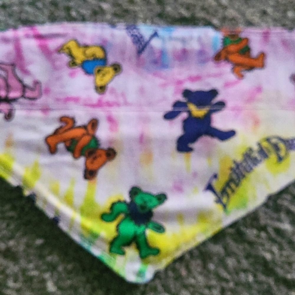 Xsmall reversible dog bandana